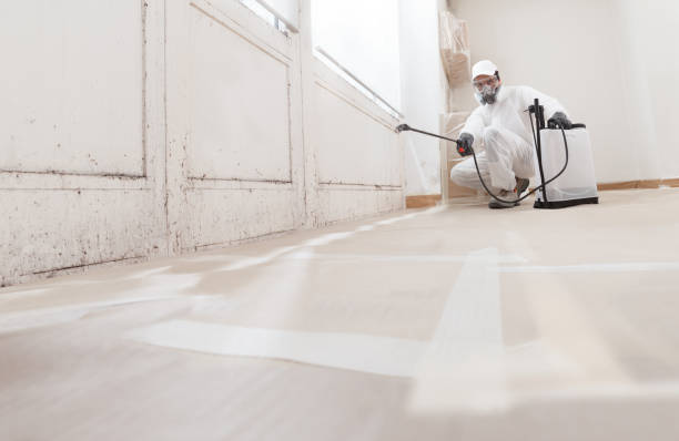 24/7 Emergency Basement Mold Remediation experts in Hastings, PA