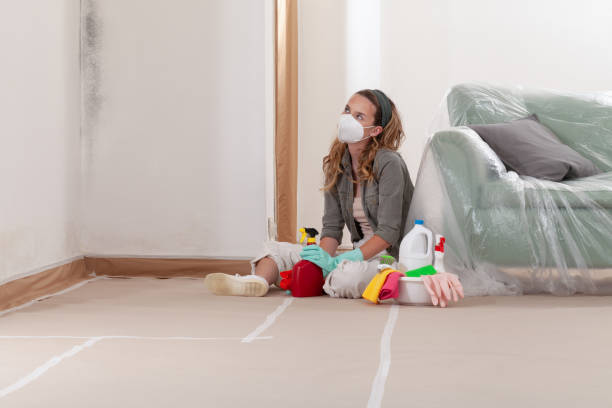 Reliable Basement Mold Remediation contractor in Hastings, PA by WQB Mold Removal
